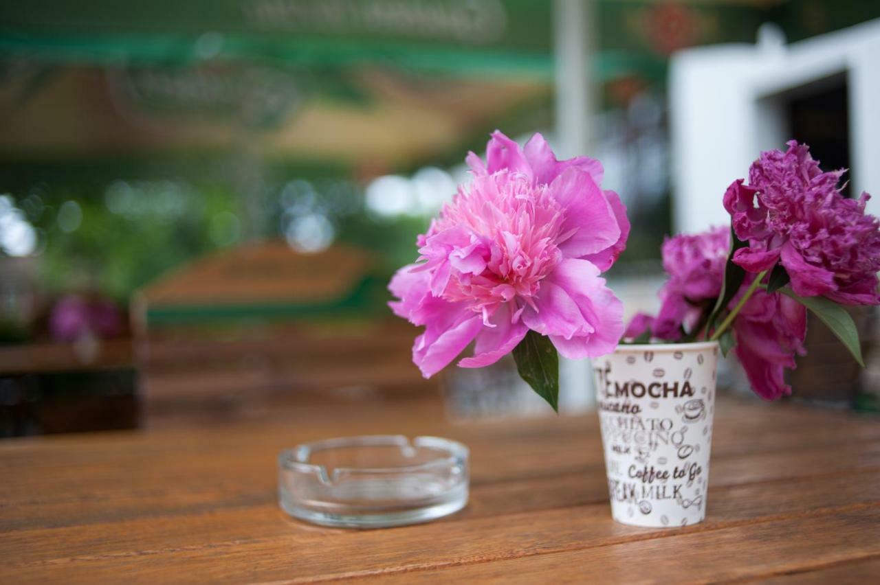 Pension Florica Piteşti Exteriér fotografie